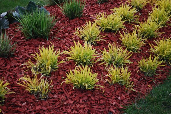 Red Mulch Installation in Portland