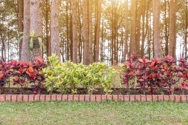 Small Garden Landscaping in Portland