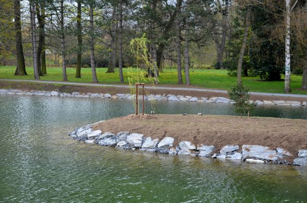 Pond Landscaping Service in Portland