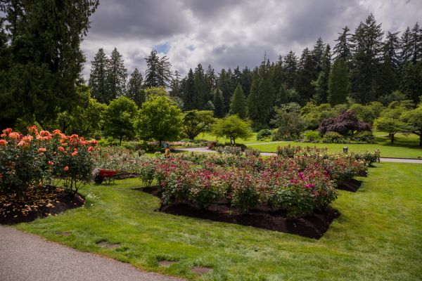 Flower Garden Landscaping in Portland