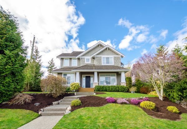 Landscaping Replacement in Portland