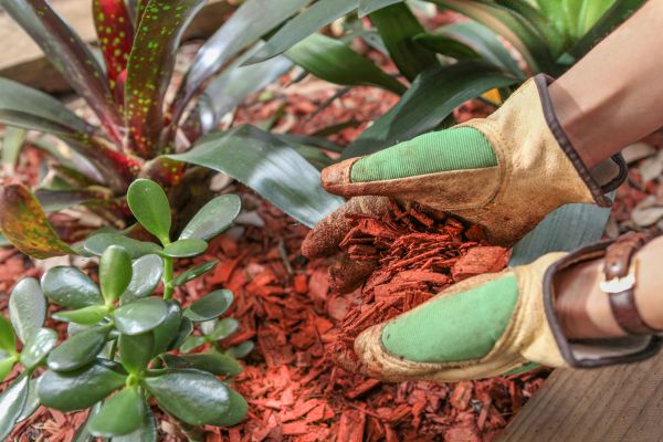 Residential Mulching in Portland