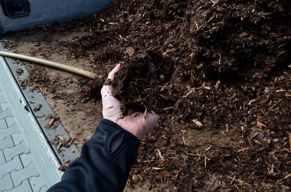Condo Mulching in Portland