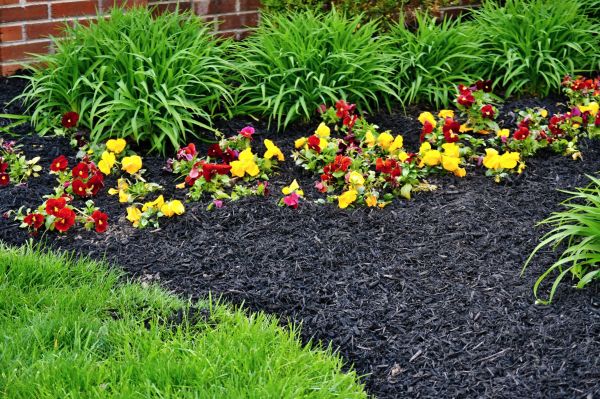 Apartment Mulching in Portland