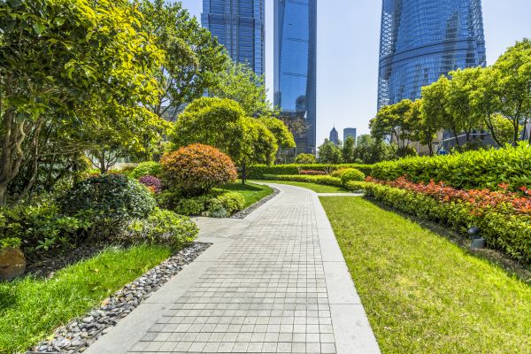 Commercial Landscaping in Portland