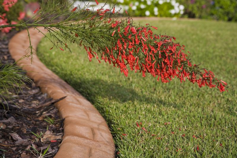Landscaping Edging Service