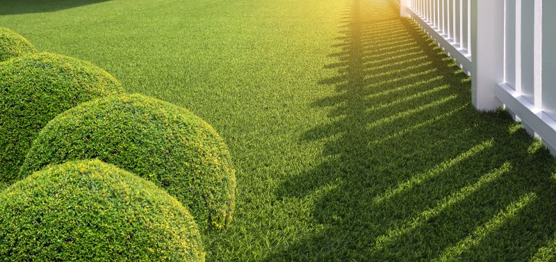 Synthetic Grass Service